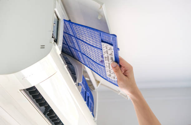 Best Air Duct Mold Removal  in Ewa Villages, HI
